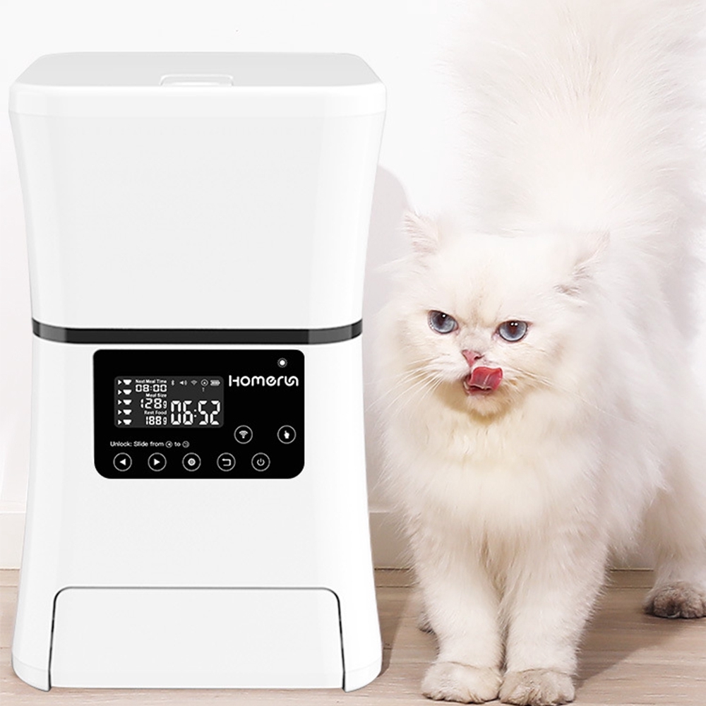 sensor cat feeder