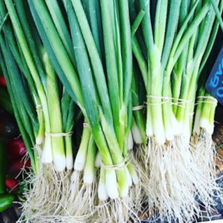 Spring Onion Seeds / Scallion Seeds (Green Onion) - Sibuyas Seeds ...