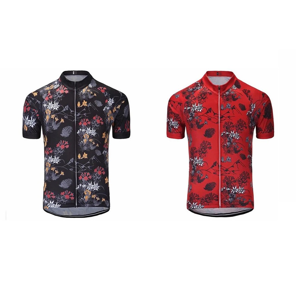 internal gear hub bikes