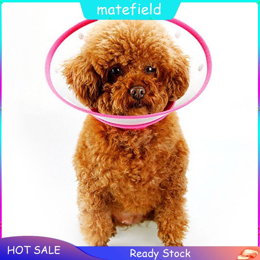 dog anti bite collar