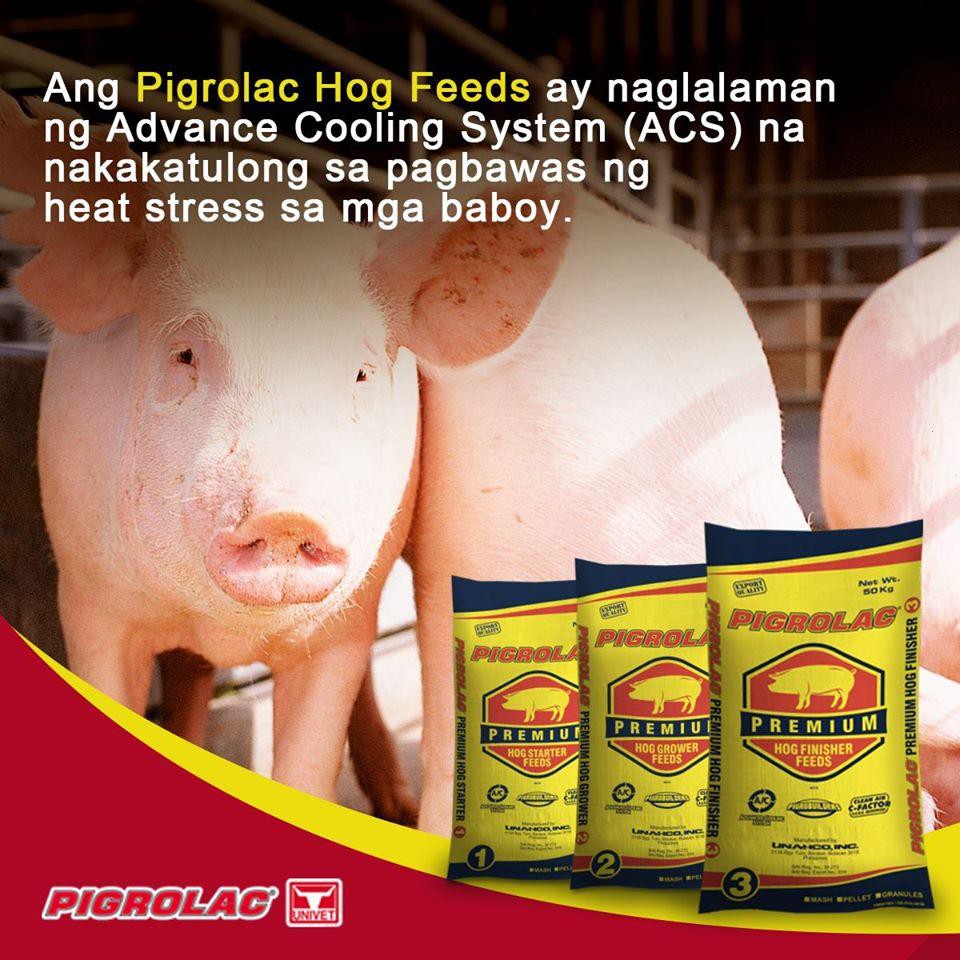 Pigrolac Premium Hog Pre Starter 1Kg Shopee Philippines