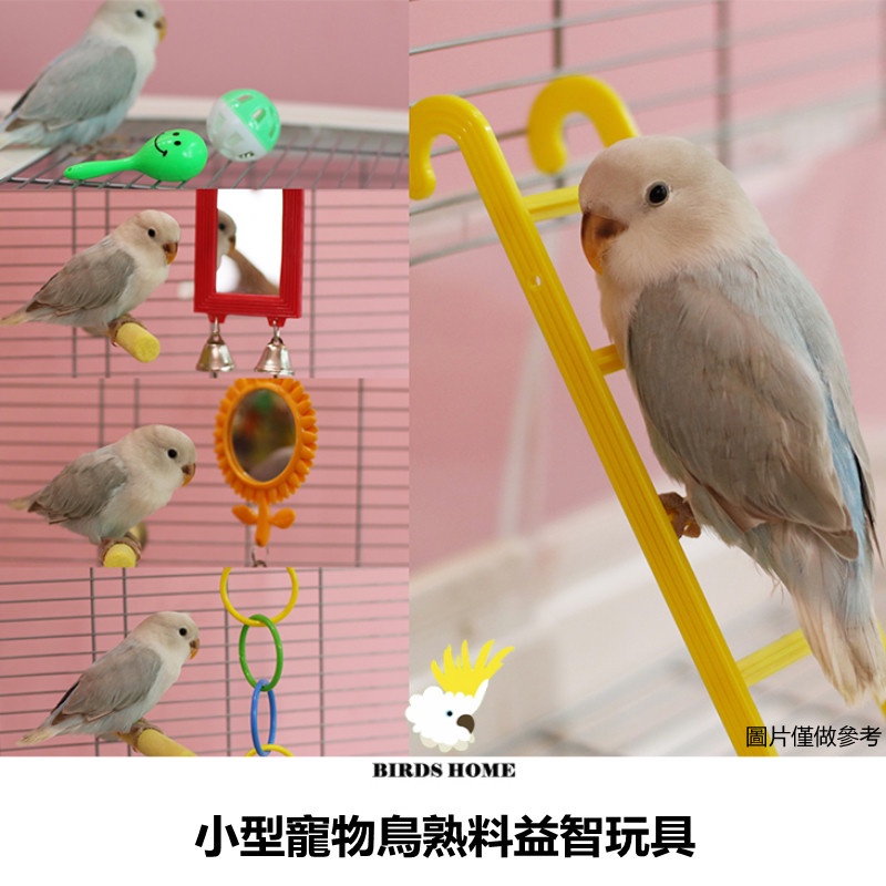 [Love And Light] Small Pet Bird Parrot Plastic Toy Mirror Climbing Ladder Bathtub Platform Ring Foot Catching Educational #1
