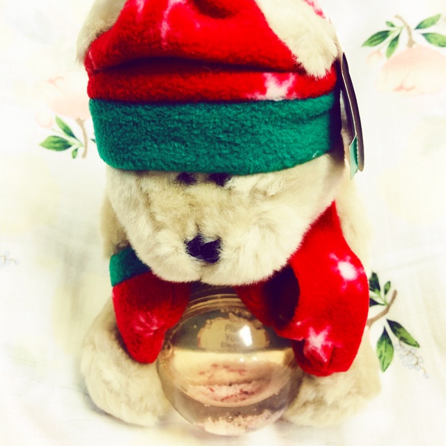 Starbucks Christmas Bear with Snow Globe Frame Shopee Philippines