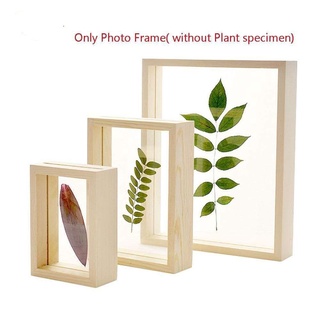 MINI Picture Frame Wooden Plant Specimen Frame Photo Frame Multifuntional Photo