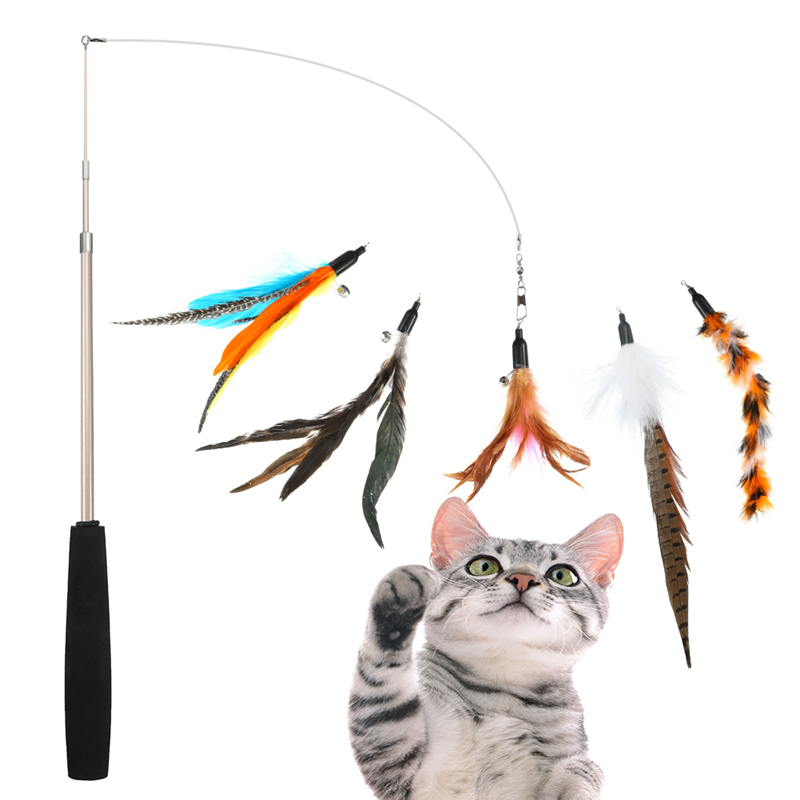 cat feather toys