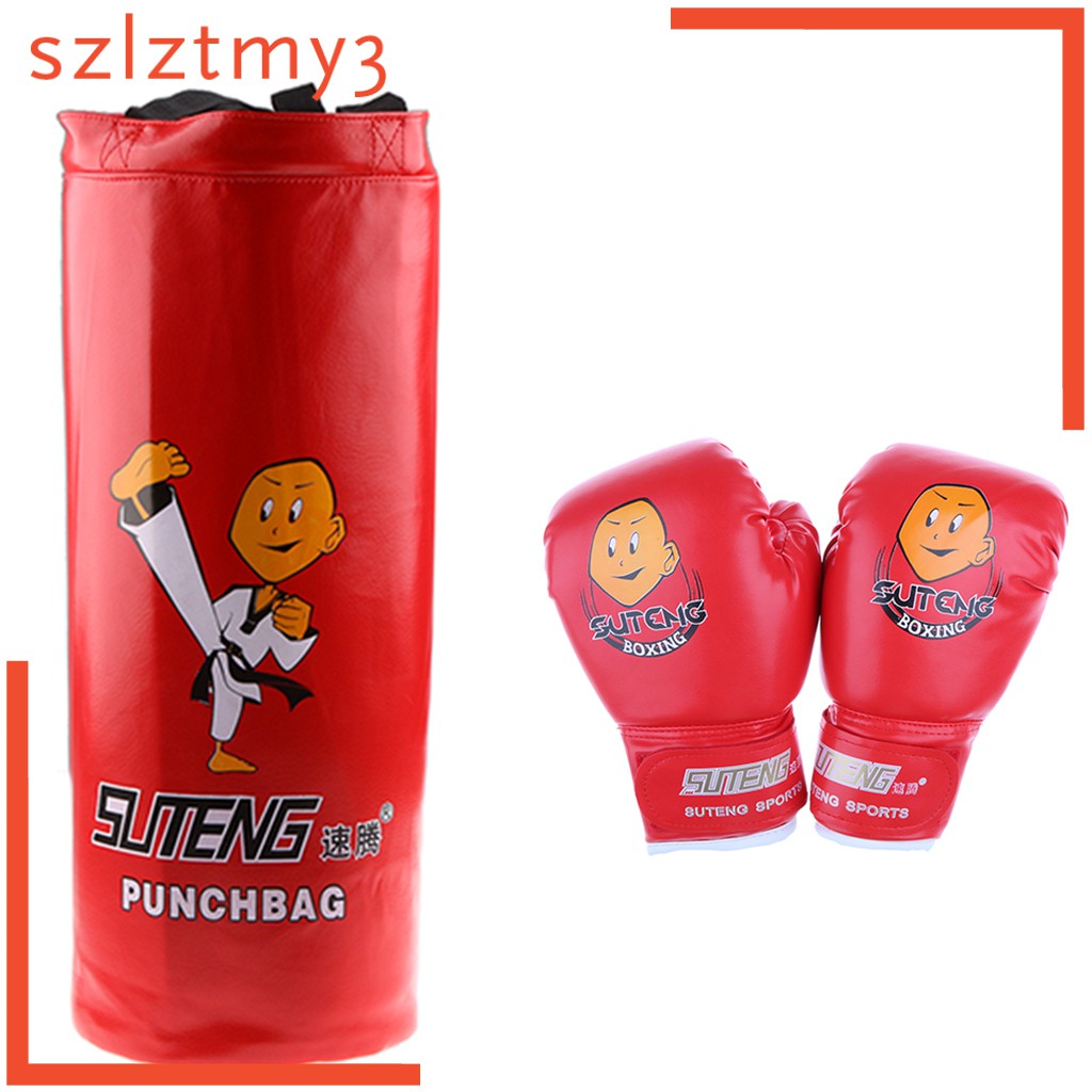 punching bag and glove set