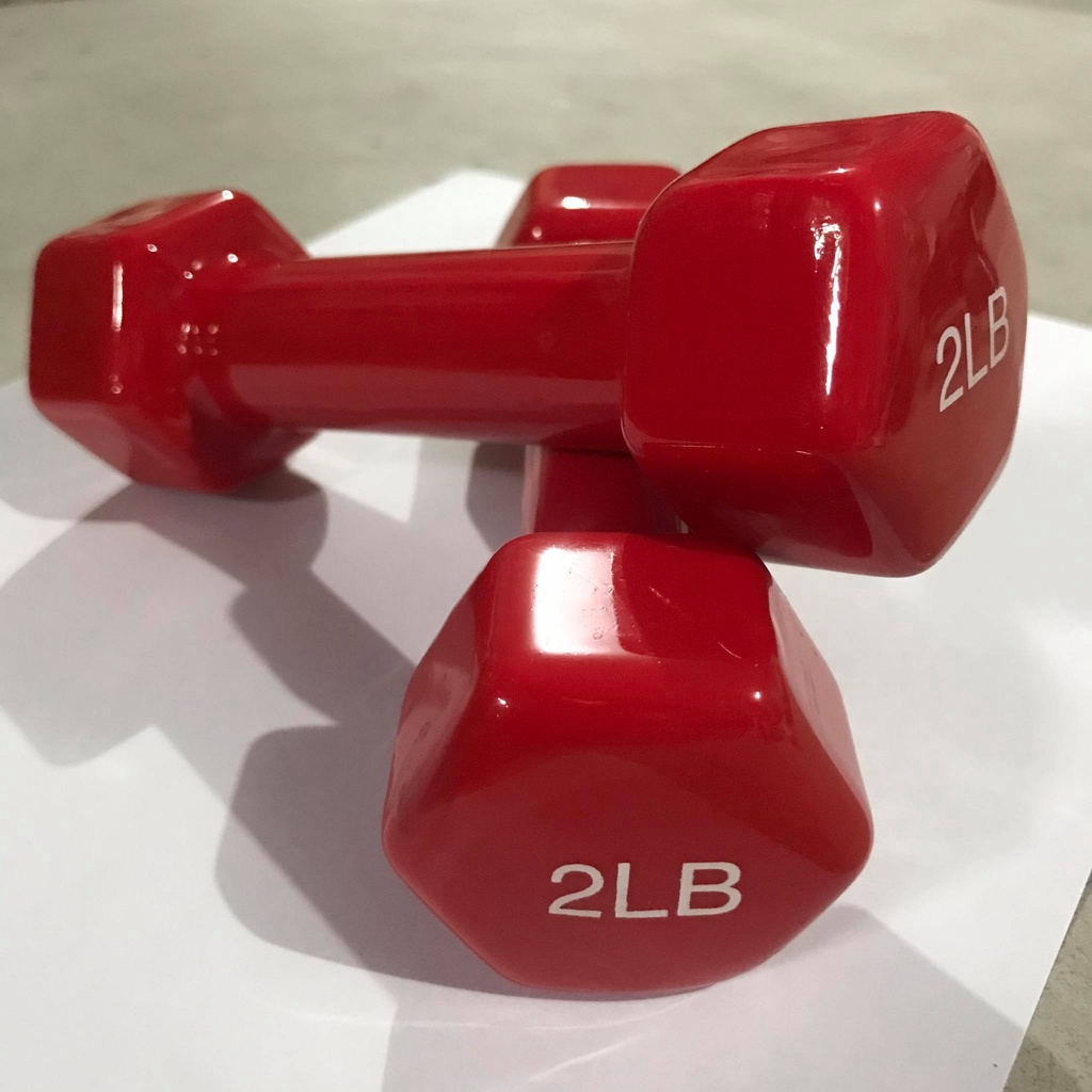 Avant Gards Dumbbell Vinyl 2LB Pair (Red/Blue/Pink) | Shopee Philippines