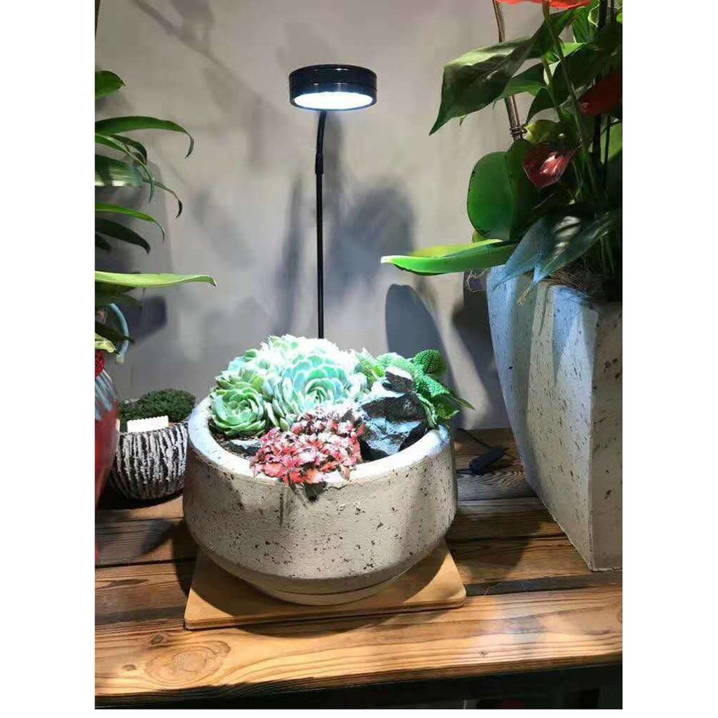 7W LED Light Stand with Wooden Base for Indoor Potted Succulent Plant Display, Wabi Kusa, Mini Betta Aquarium Tank Lamp #7