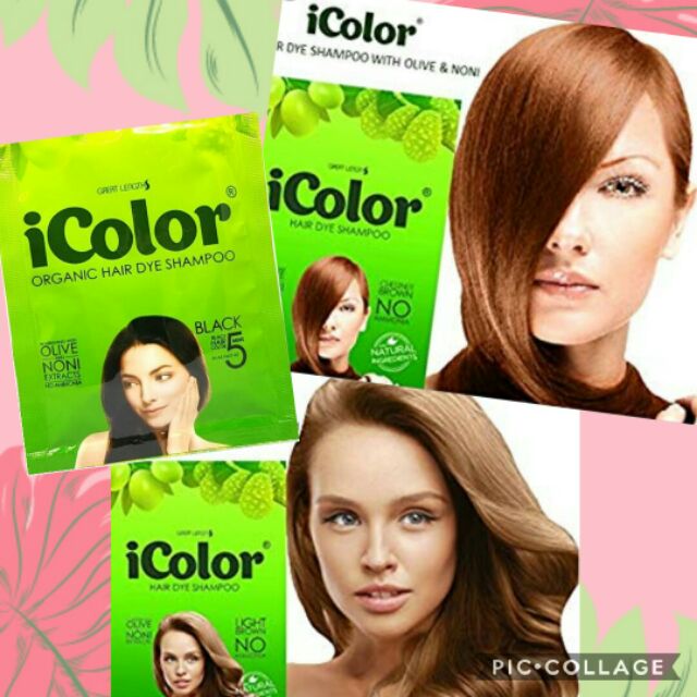  iColor  Organic Hair  Dye  Shampoo Shopee Philippines