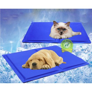 Pet cooling mat best quality dog cat summer cooling mat bed （CLEARANCE SALE/NO RESTOCK)