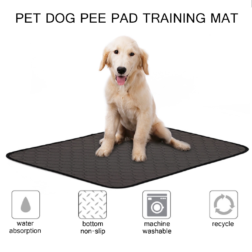 Paw Inspired Washable Pee Pads For Dogs Reusable Puppy Pads Waterproof  Whelping Pads Washable Training Pet Pads, Washable Potty Pads Extra Large, My Dog Keeps Wetting The Bed