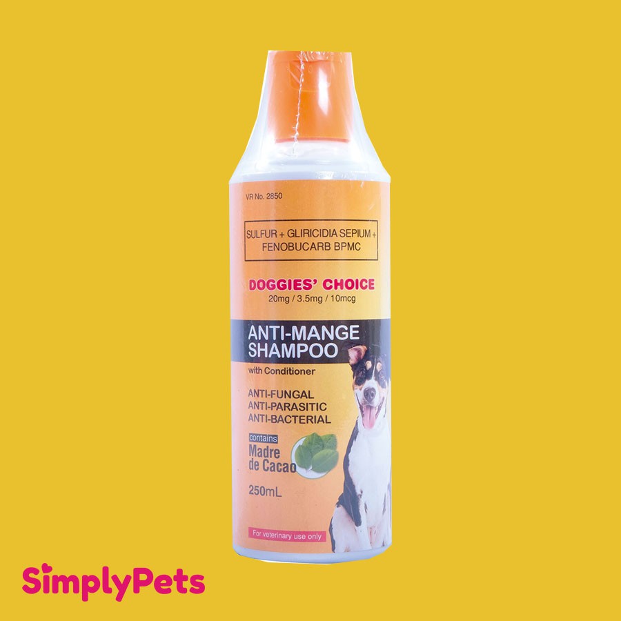 anti galis shampoo for dogs