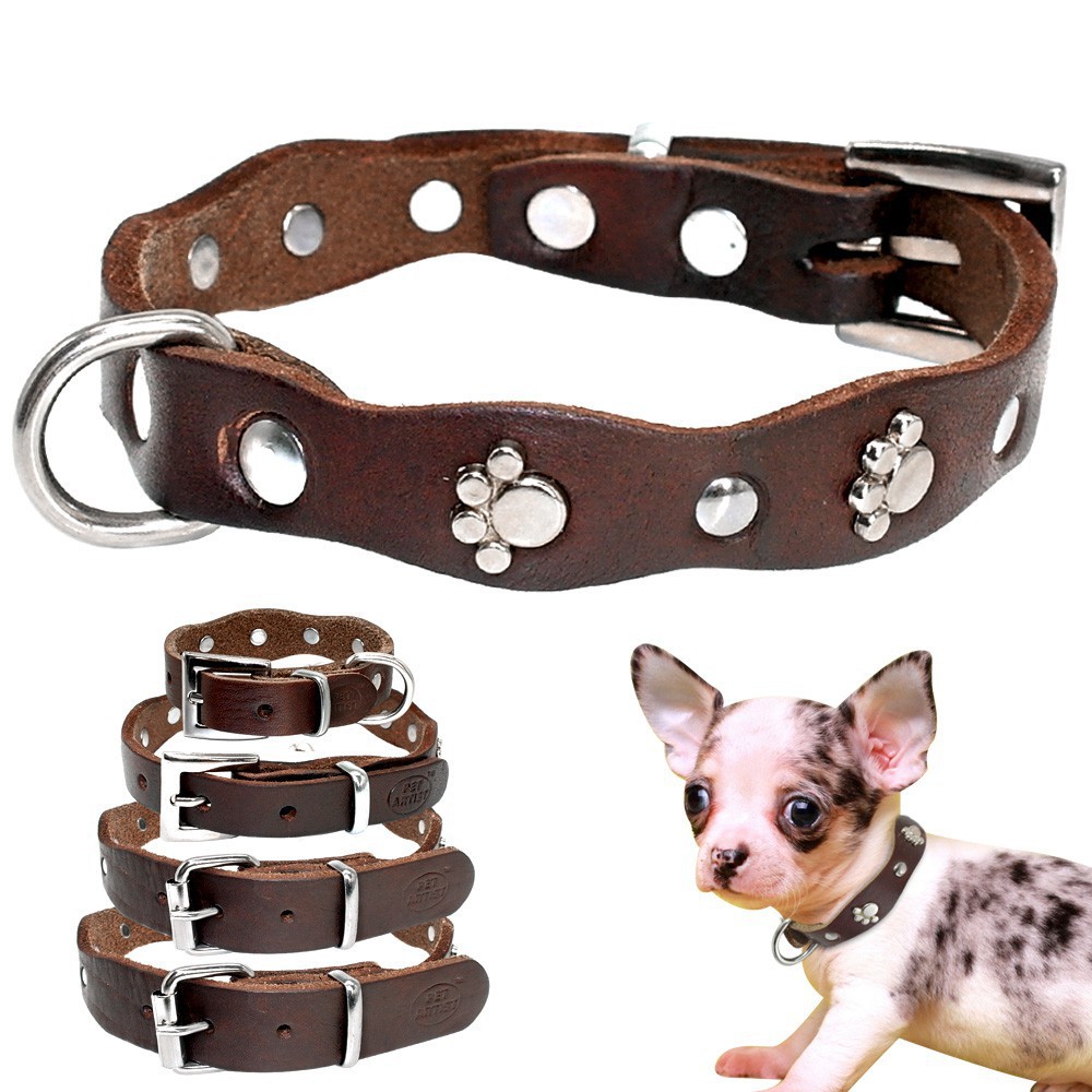 dog collars for sale