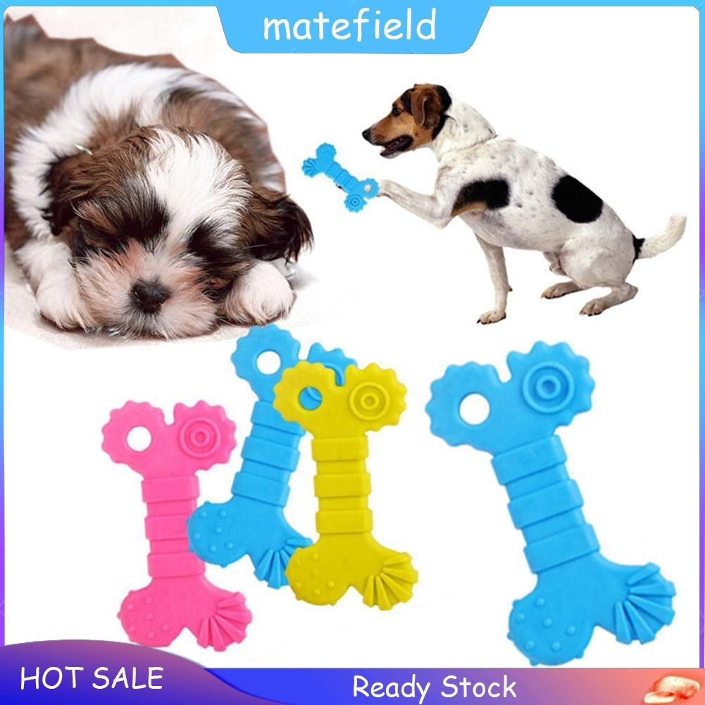 toy pet dog