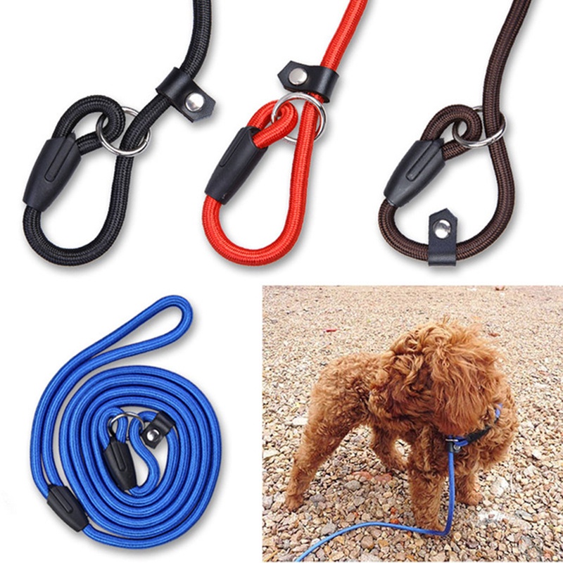 Dog leash dog rope dog leash and collar dog collar and leash leash for dog leash for puppy #2