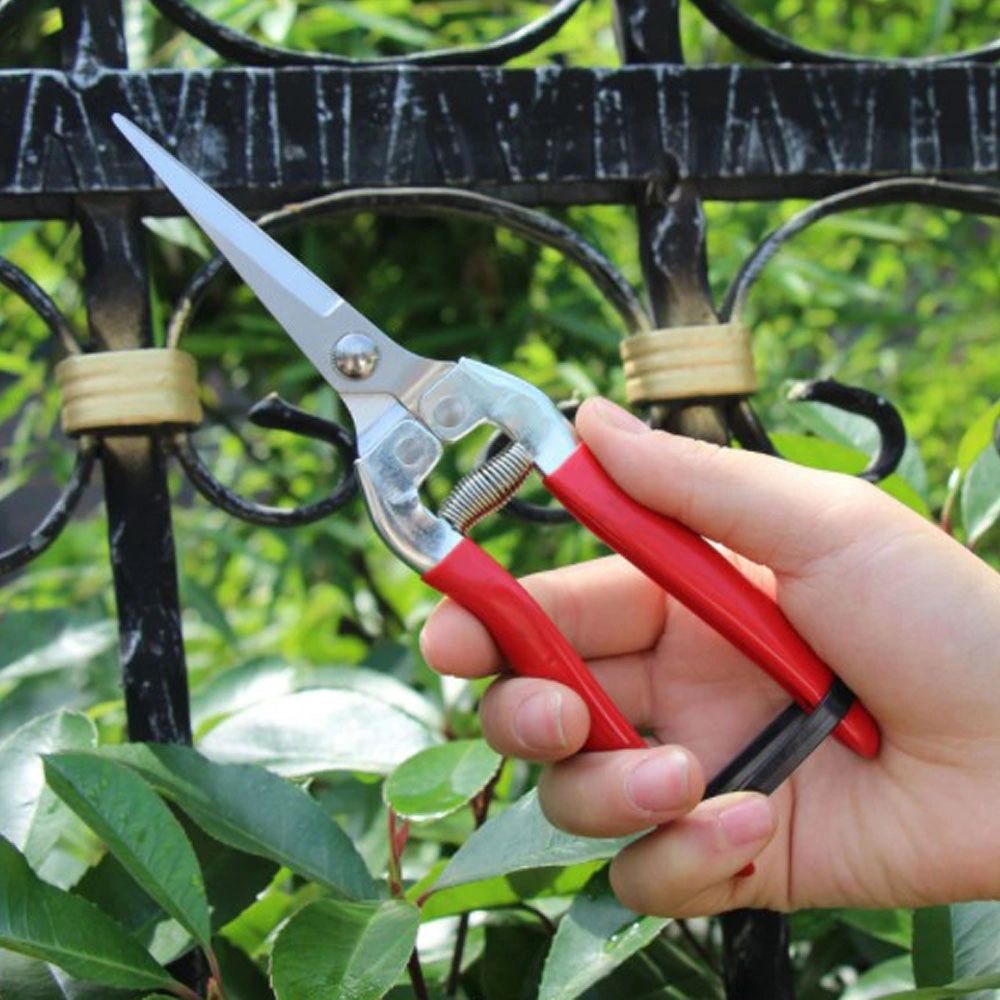 Team Bahay Plant Pruning Scissors Garden Cutter Flower Branch Shears