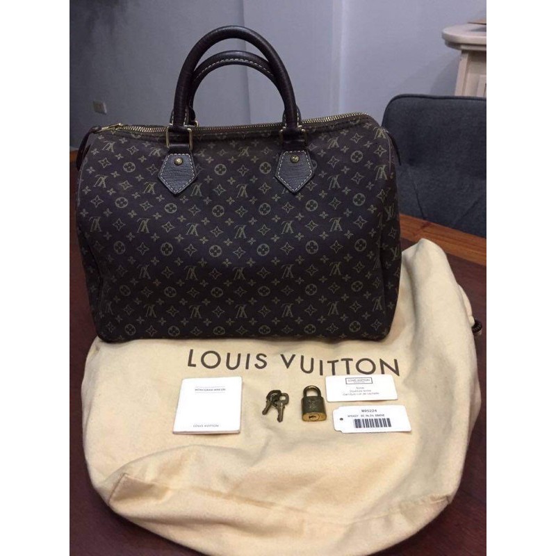 LOUIS VUITTON Mini Lin Speedy 30 Ebene