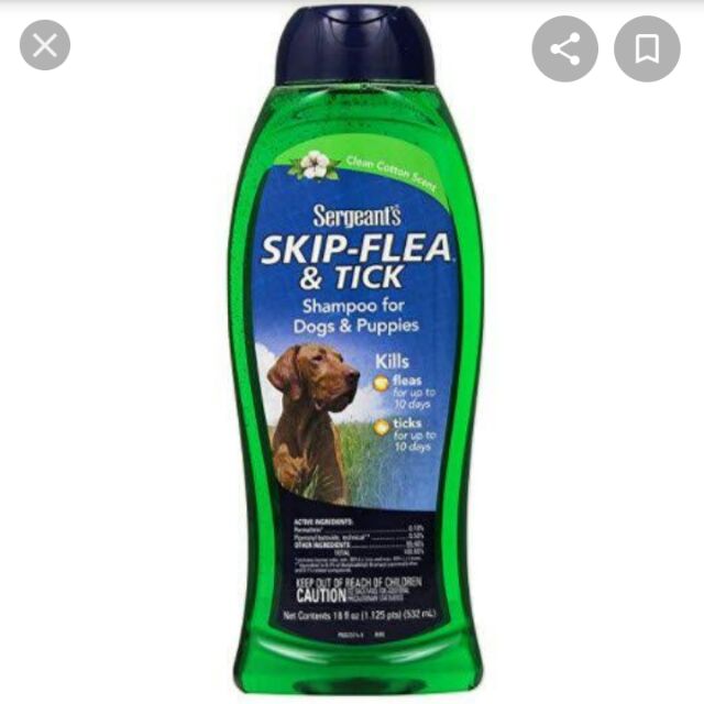 head and shoulders kills fleas