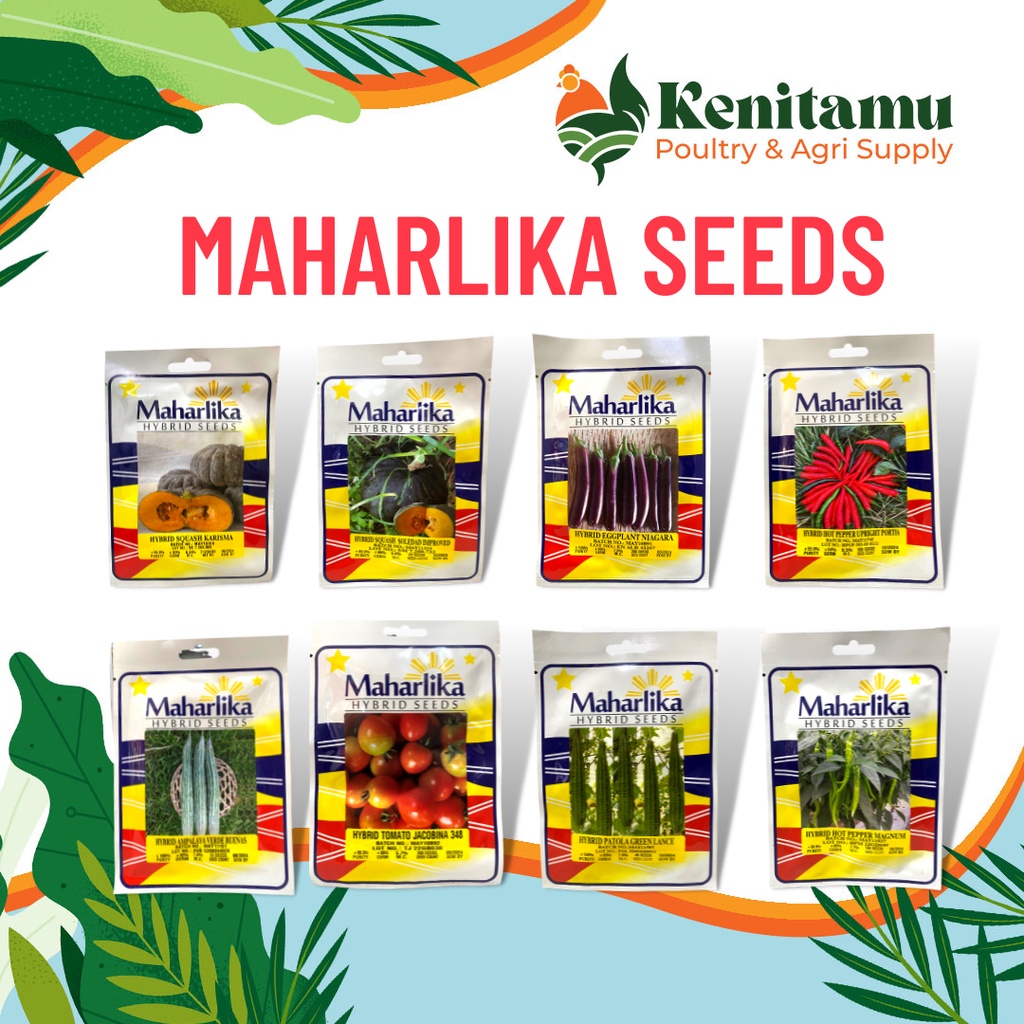 MAHARLIKA HYBRID SEEDS (SQUASH, EGGPLANT, PEPPER, AMPALAYA, TOMATO AND ...