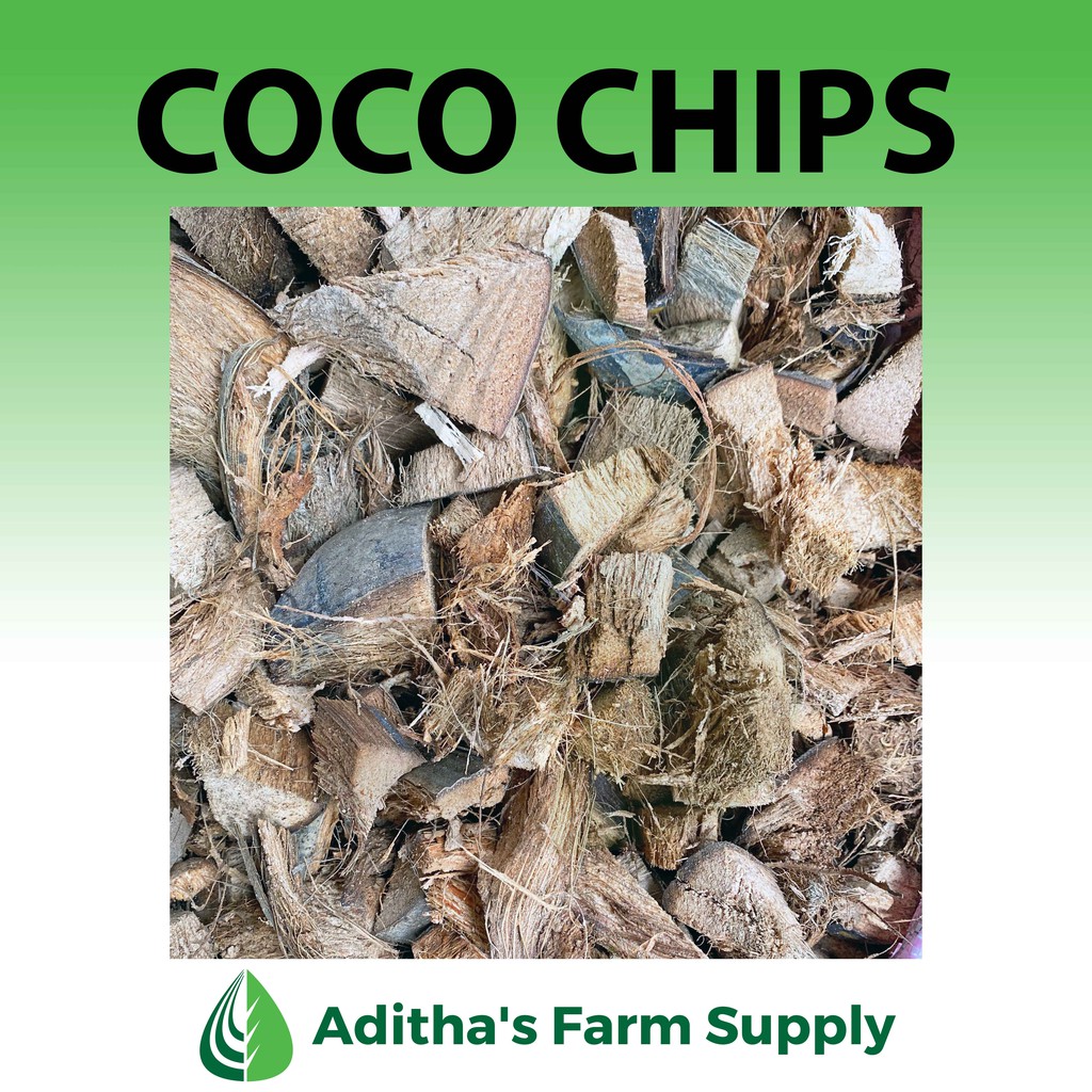 Coco Chips/ Coco Husks/ Coco Cubes 100g/500g Shopee Philippines