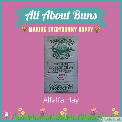 ALL ABOUT BUNS CHAFFED ALFALFA HAY FOR YOUNG RABBITS (CANOWINDRA