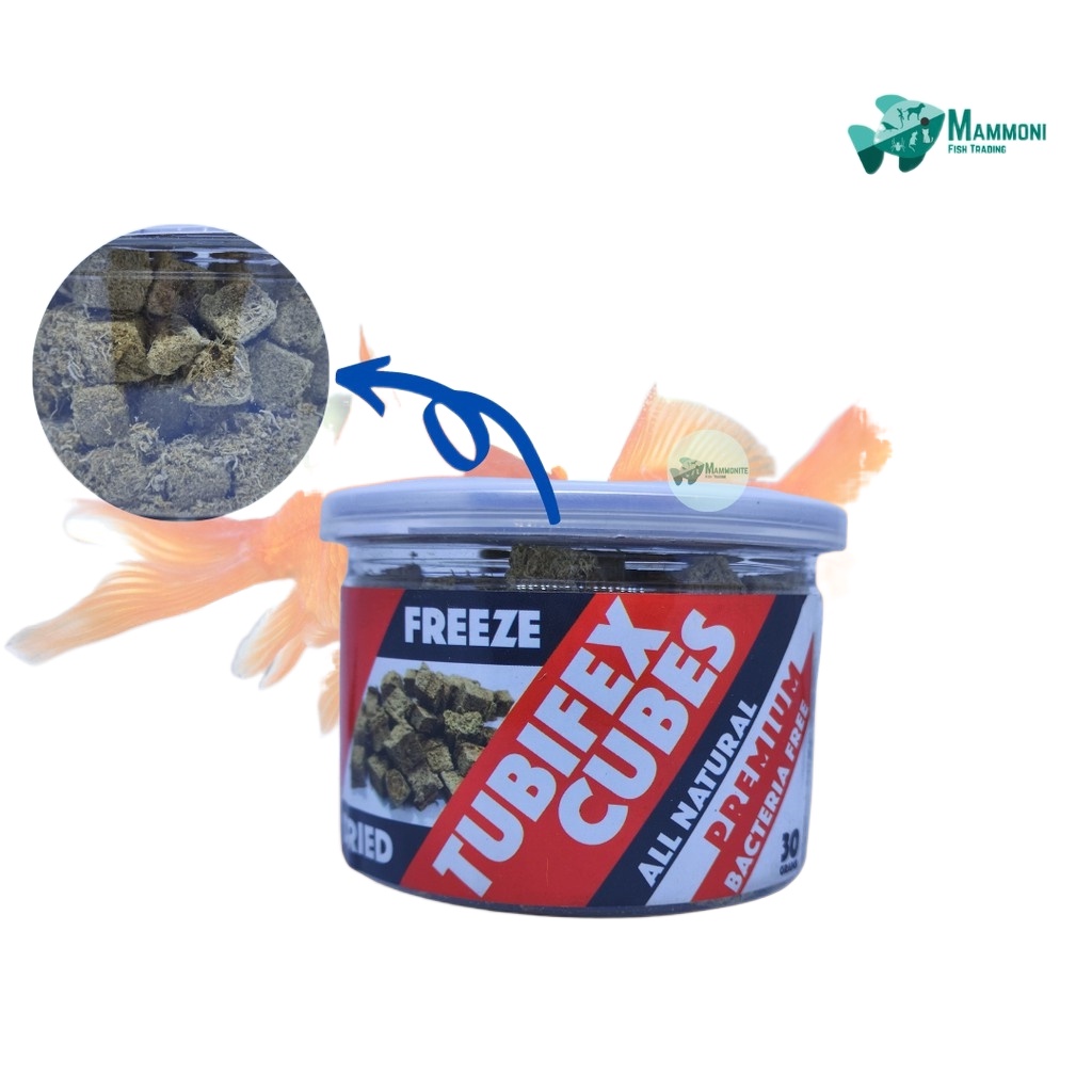pet . Aquarium Fish Food Freeze Dried Tubifex Cubes 30 Grams Shopee