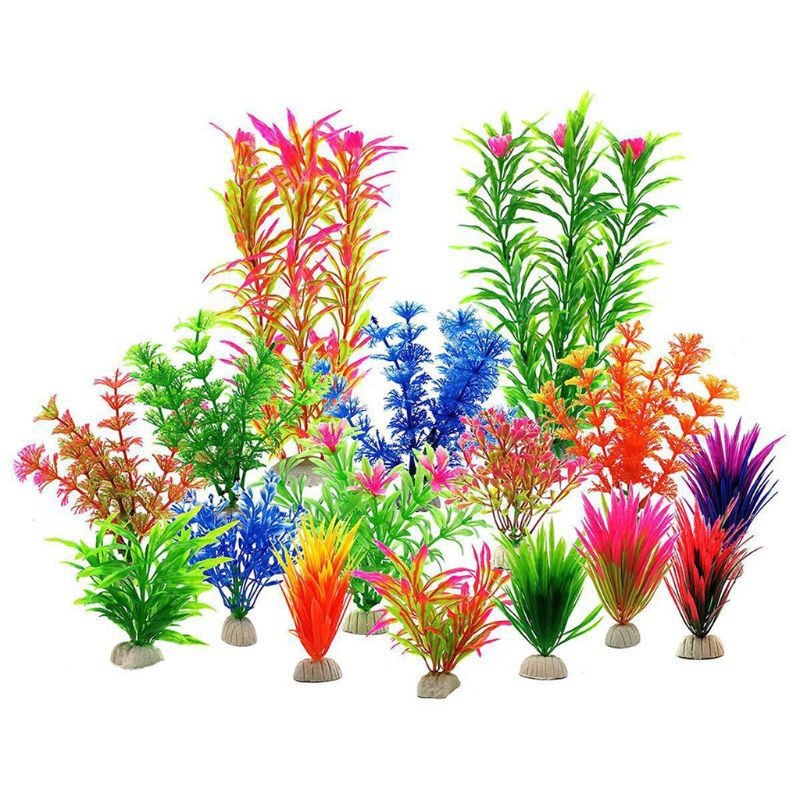 fish tank decorations plants