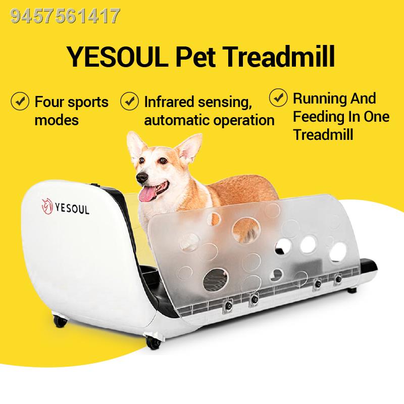 Xiaomi YESOUL Q1 Pet Dog Cat Kitten Puppy Indoor Treadmill w/ a Smart Feeder (dog and cat toys） #1