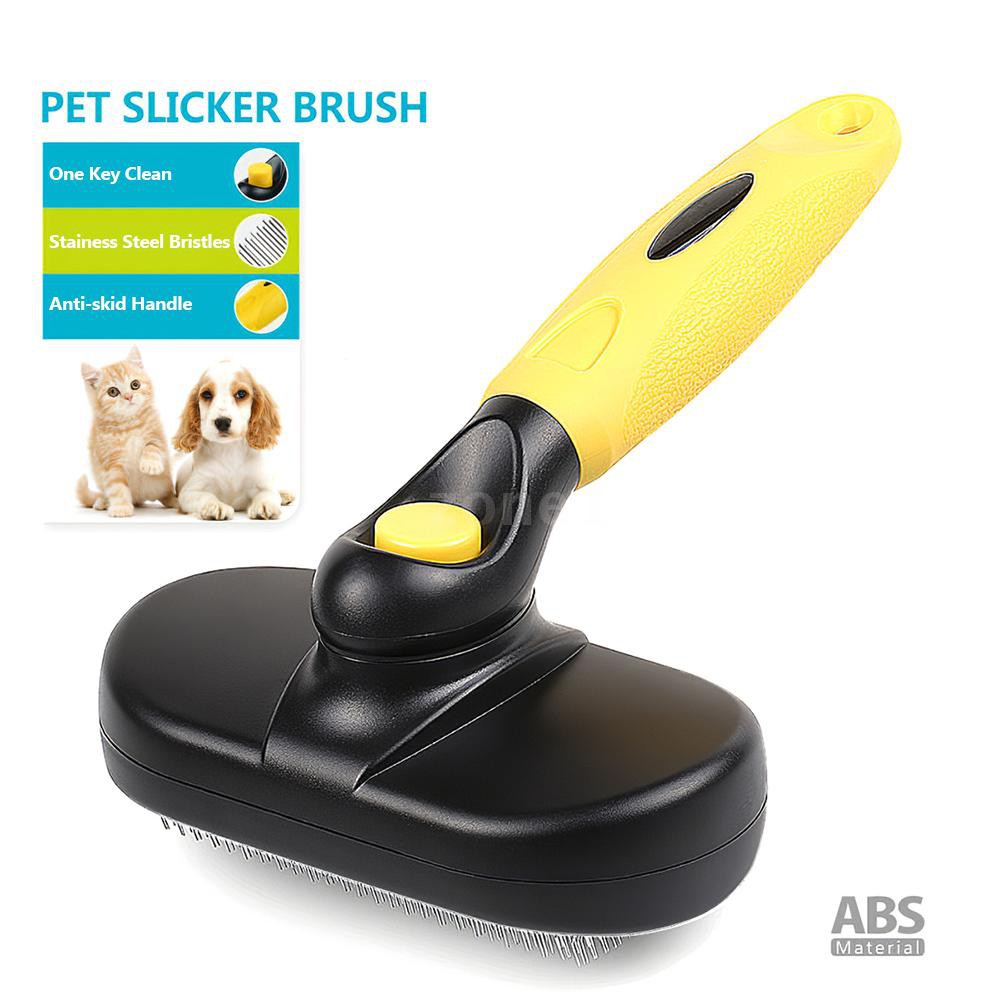 dog brush to reduce shedding
