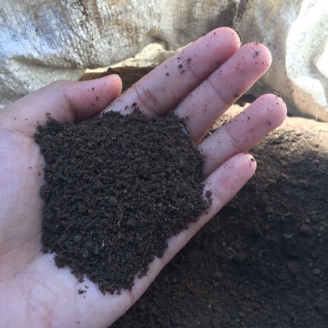 Organic Garden Soil Loam Soil 1kg Big Discount Sale Shopee Philippines