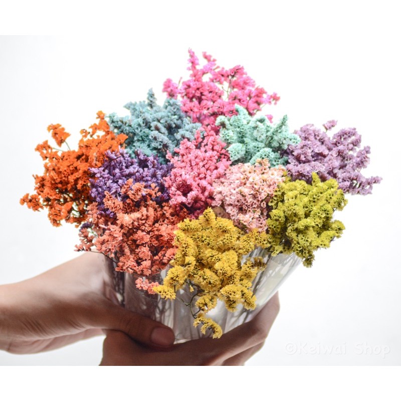 Dried / Preserved Crystal Grass flowers Shopee Philippines