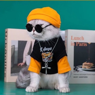 Cat clothes spring and autumn new year of the tiger handsome thin sweater small dog dog cat clothes