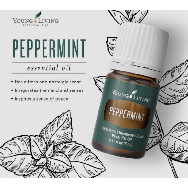Peppermint Young Living Essential Oil 5ml And 15ml Shopee Philippines