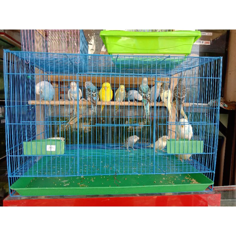 HOW TO MAKE A BIRDCAGE DIVIDER Bird Cage, Divider, Pet Birds atelier