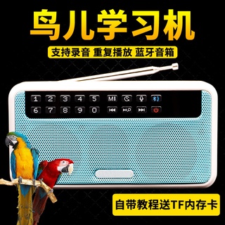 Parrot learning machine starling learn to speak trainer bird with repeater to teach language to spea