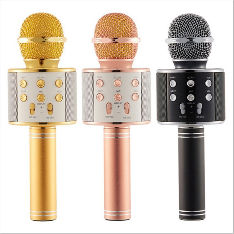 microphone speaker