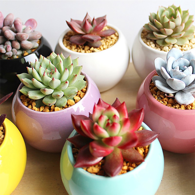 Living Mini White Cheap Flower Pot Ceramic Flowerpot Garden Outdoor