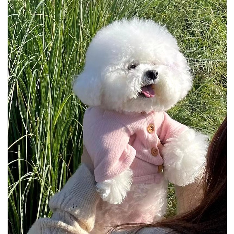 Autumn Winter New Style Soft Sweater Pet Clothes Teddy Bichon Poodle Maltese Schnauzer Small Dog Puppies Cat #2