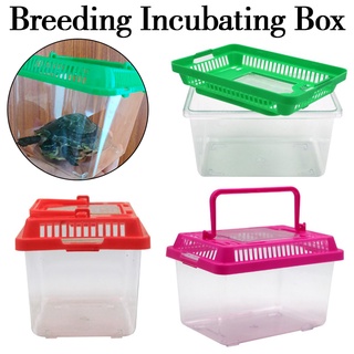 Reptile Terrarium Breeding Incubating Box Spider Frog Box Snake Turtle Tank Eggs Incubation