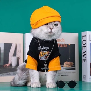 【 Free Hat 】 Cat Clothes Spring Autumn New Style Tiger Year Handsome Thin Sweatshirt Small Dog C #5