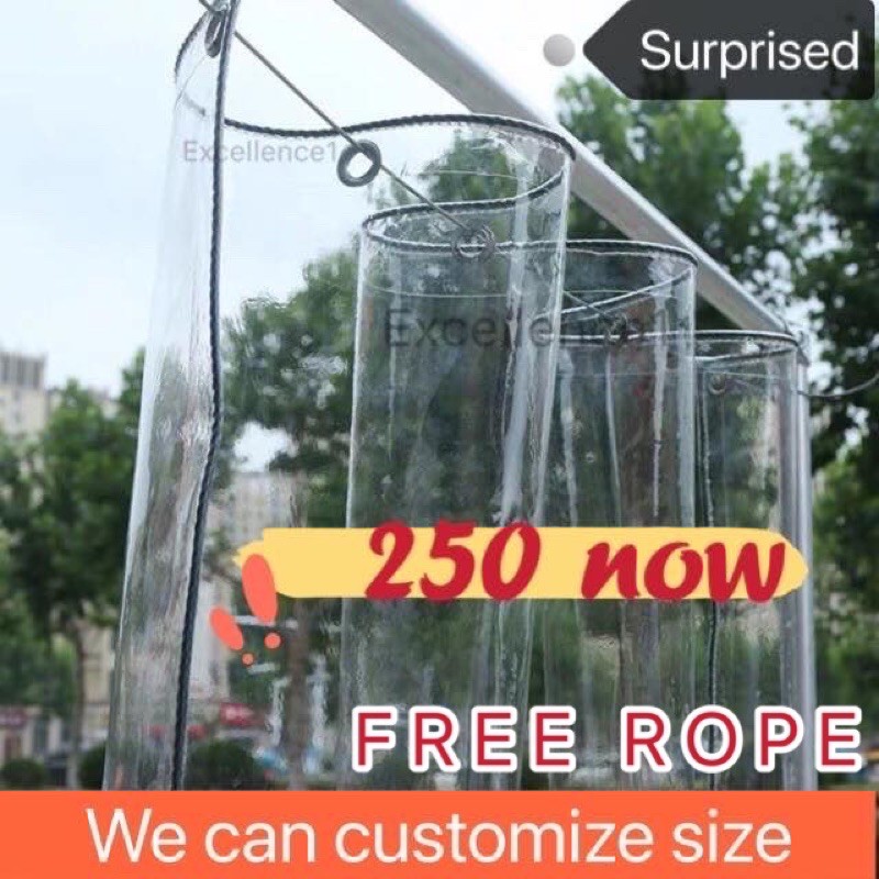 trapal-transparent-4ftx6ft-4ftx3ft-4ftx9ft-can-be-customized-size