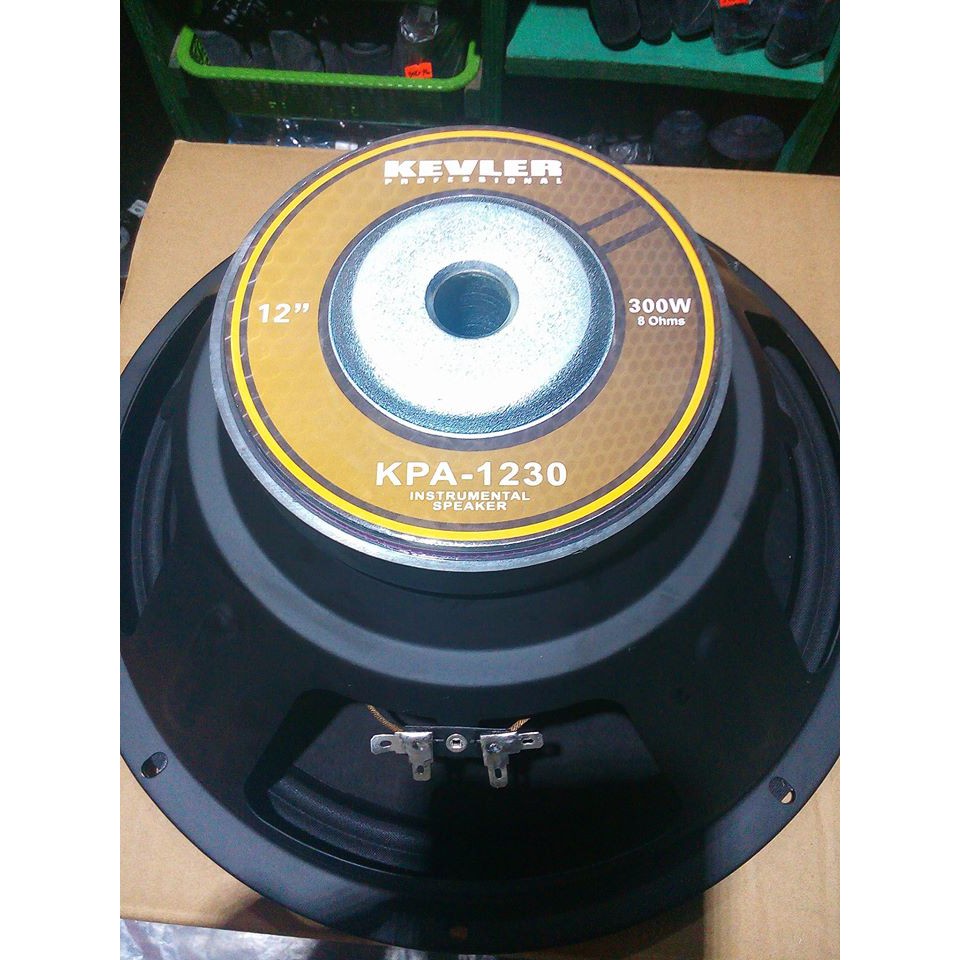 qualimate 12 inch karaoke