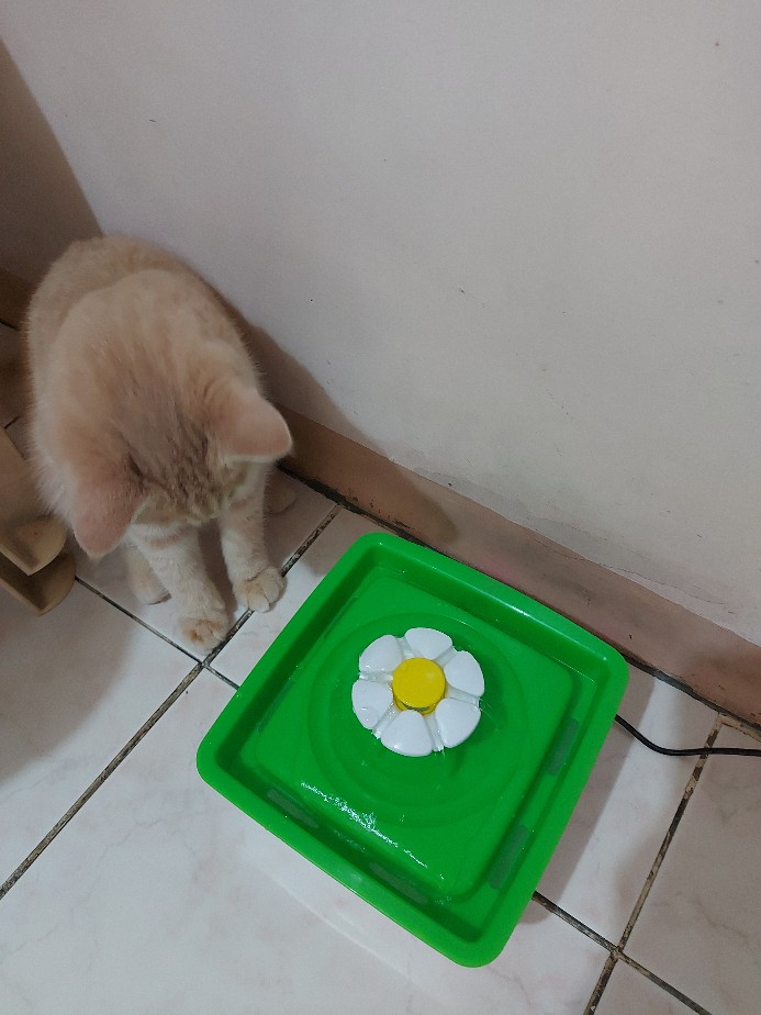 catit mini flower cat fountain