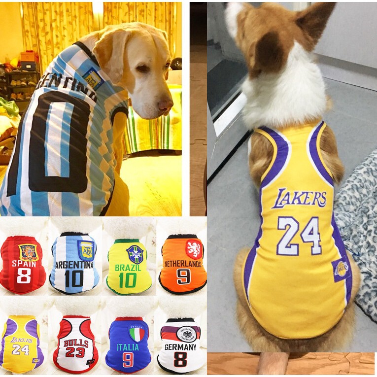 dog basketball jersey