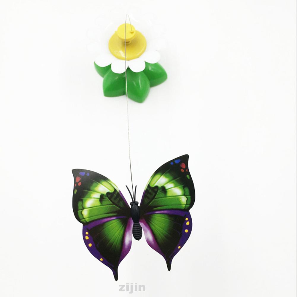 battery operated butterfly cat toy