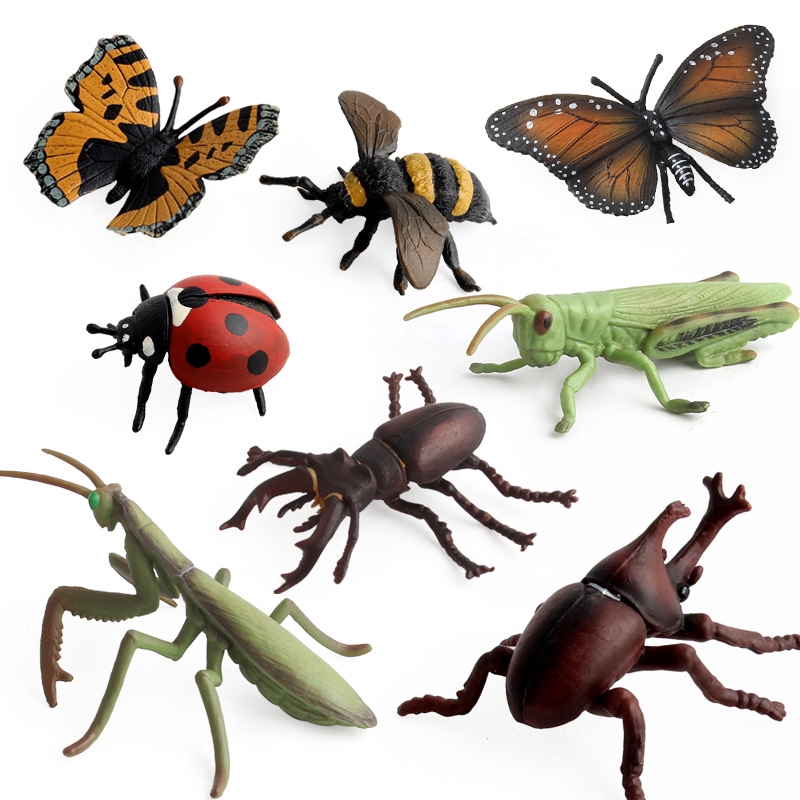 Simulation Insect Model Animal Arrangement Kid S Toys Scene