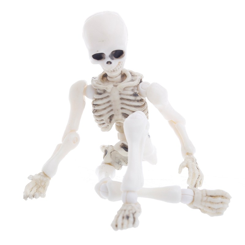 toy skeleton bones