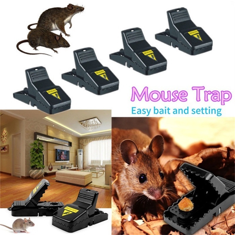 mouse trap store