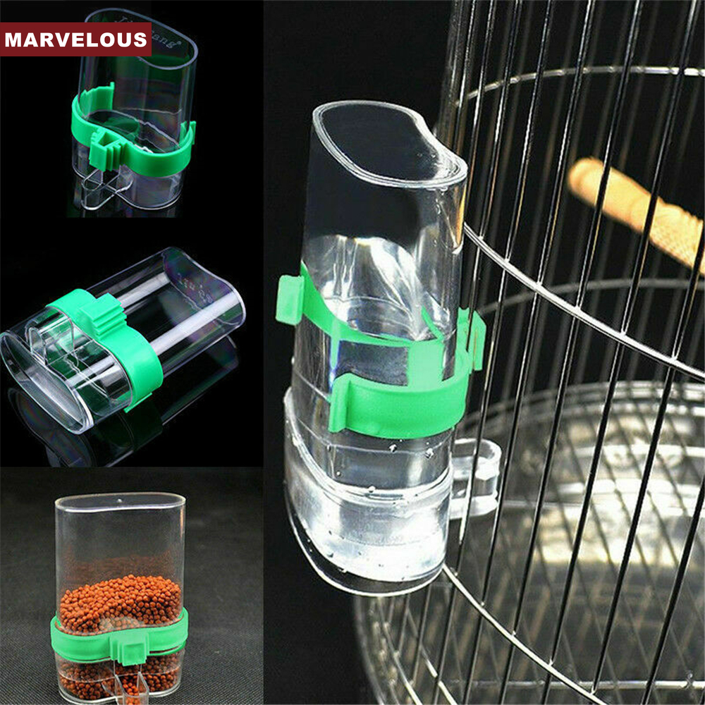 bird bottle cage