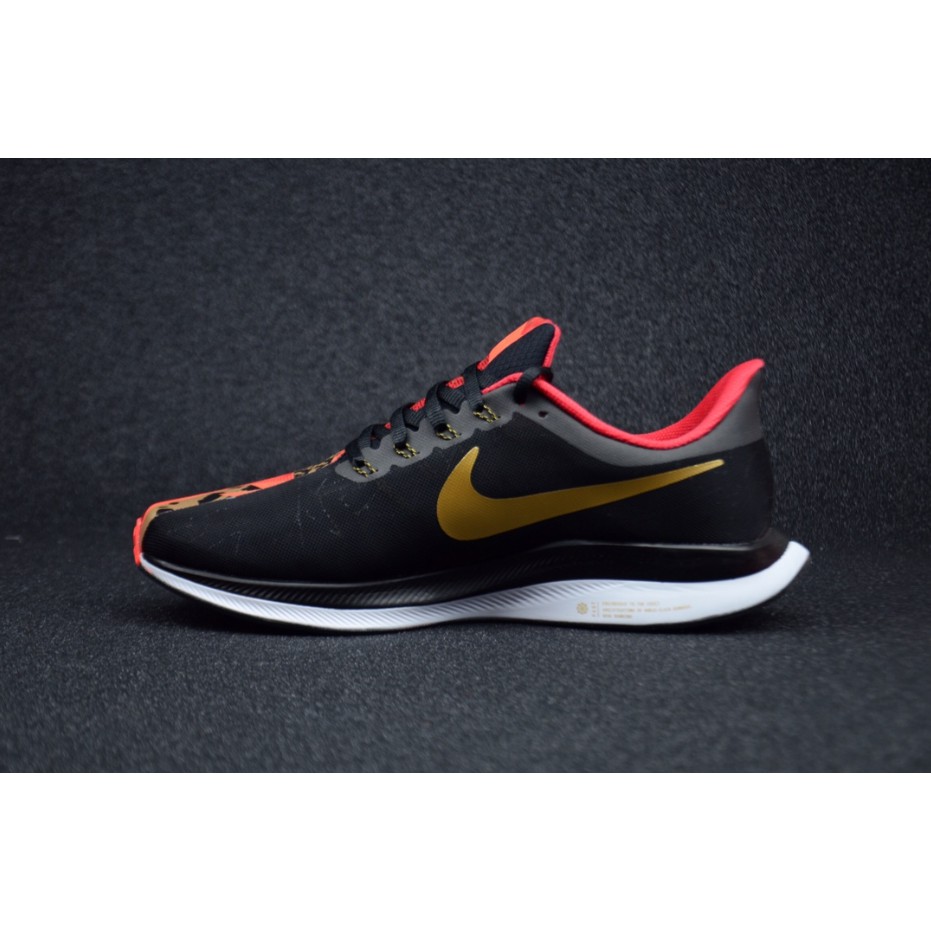 pegasus zoom 35 turbo